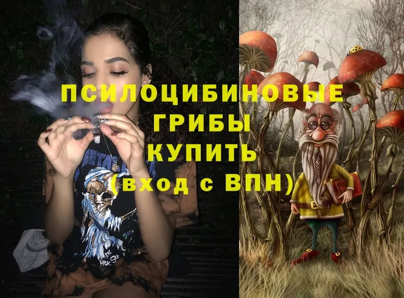 хочу   Бобров  блэк спрут ССЫЛКА  Галлюциногенные грибы MAGIC MUSHROOMS 