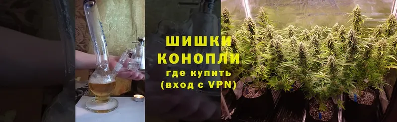 Конопля THC 21%  закладки  Бобров 